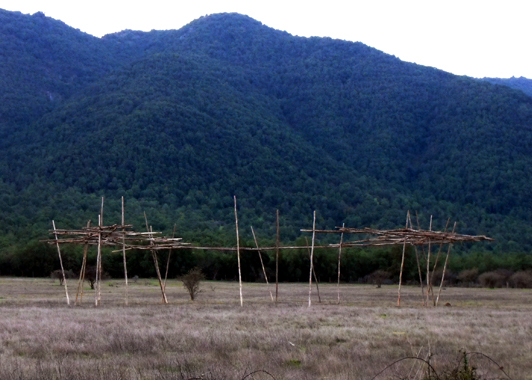 Circolo effimero e non produttivo di legno, tra campo e bosco nativo chileno.